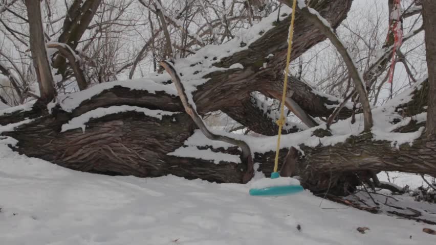 A fun tree swing after a snowfall