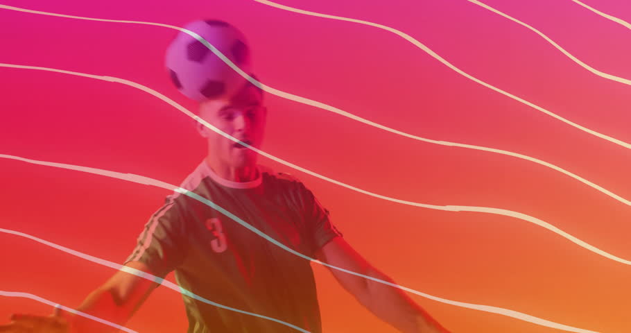 Shutterstock Video