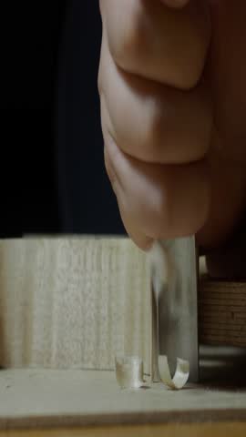 Shutterstock Video