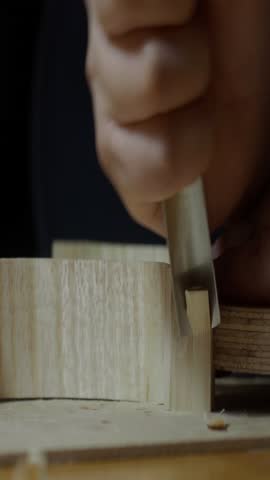 Shutterstock Video