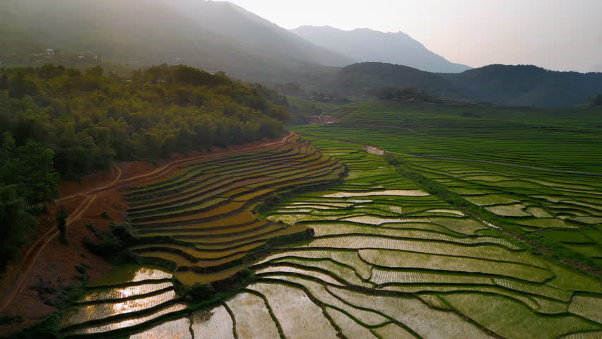 Stairway To Heaven, Famous Terraced Rice Fields Of Pu Luong In Northern Vietnam. Aerial Drone Shot