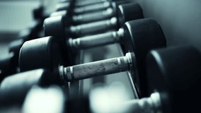 Rows With Dumbbells Of Varying Weights In The Gym for Bodybuilding Exercises - Powered by Shutterstock - Get 15% off with code: PIKWIZARD15