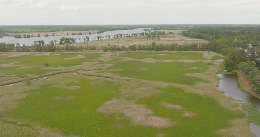 Historic Rice Fields in South Carolina Along Waccamaw River