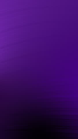Shutterstock Video