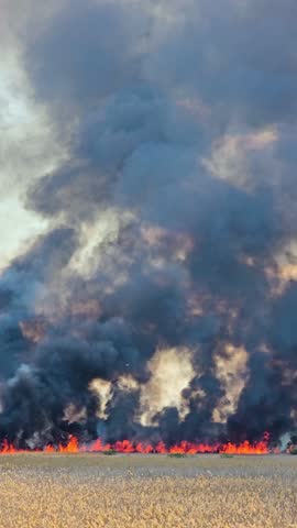 Fire is destroying nature. Climate emergency. Natural disaster. Grass is burning, black smoke is rising from sky. Epic big fire in nature park. Climate change. Global warming. Drought, climate change