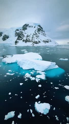 Icebergs float beautiful serenely. North Coast Newfoundland