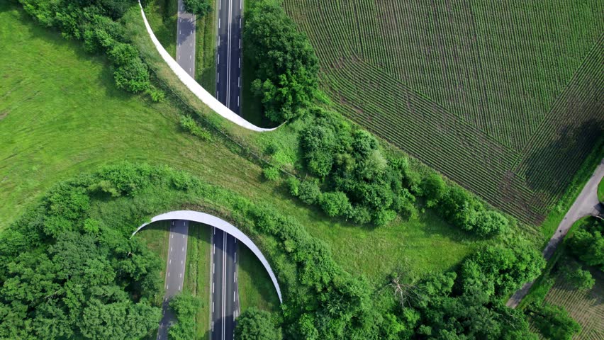 Interstate road traversed by wildlife crossing Grimberg forming a safe natural corridor bridge for animals to migrate between conservancy areas. Environment nature reserve infrastructure eco passage.