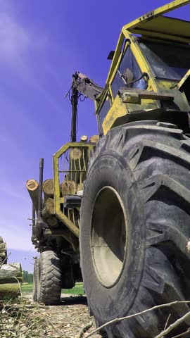 Mechanical Arm is Moving Felled Tree Trunks in a Woods - Panning Shot. The old, yellow cabin and black timber log crane show years of hard work. It is a sunny day with a gentle breeze and soft clouds.