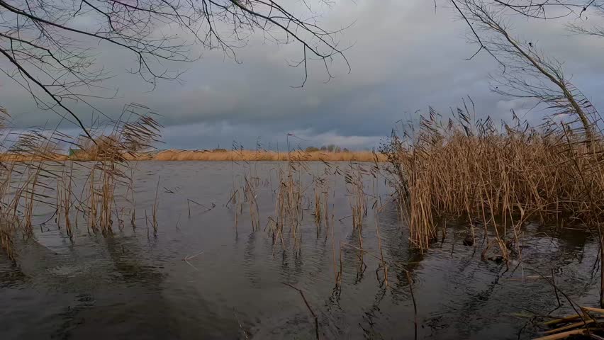 Timelapse of moving heavy storm clouds seen from the edge of a Dutch reed-filled lake at sunset 4k