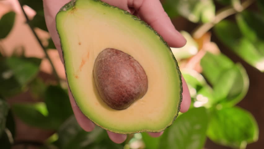 Half of green avocado with pit in hand showing fruit pulp close-up top view