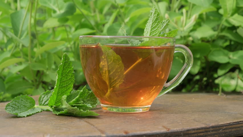 Tea drink with sprig of mint in transparent cup on wooden table outdoors on natural green background of plant leaves close-up