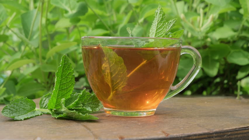 Tea drink with sprig of mint in transparent cup on wooden table outdoors on natural green background of plant leaves close-up