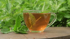 Tea drink with sprig of mint in transparent cup on wooden table outdoors on natural green background of plant leaves close-up - Powered by Shutterstock - Get 15% off with code: PIKWIZARD15