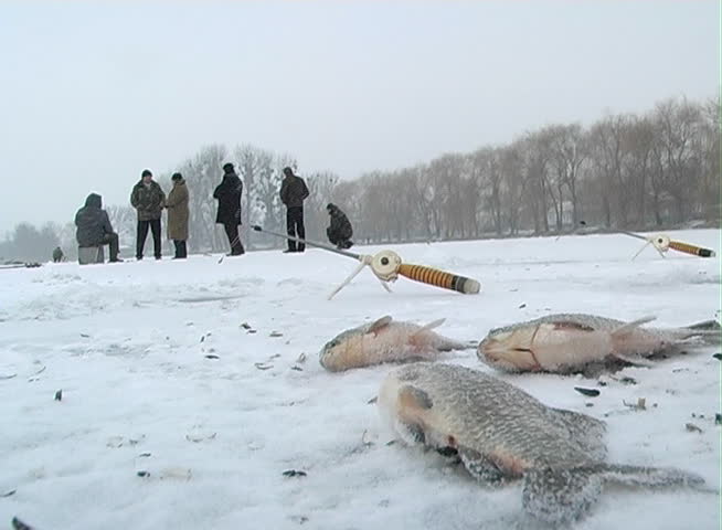 Winter fishing on ice during the day in winter