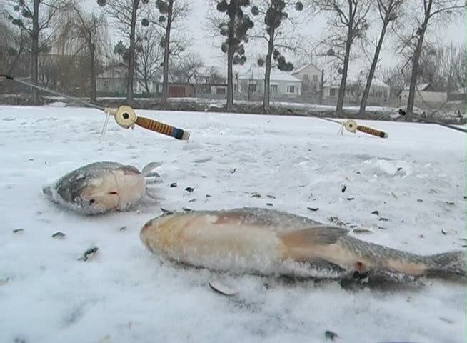 Winter fishing on ice during the day in winter