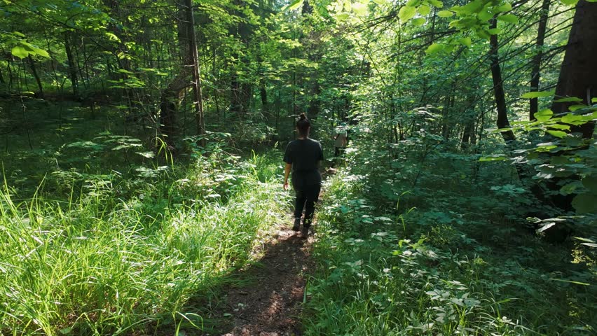 Enjoy a truly peaceful hike on a vibrant forest trail, immersing yourself fully in natures stunning beauty and the soothing tranquility of the lush greenery that surrounds you with friends