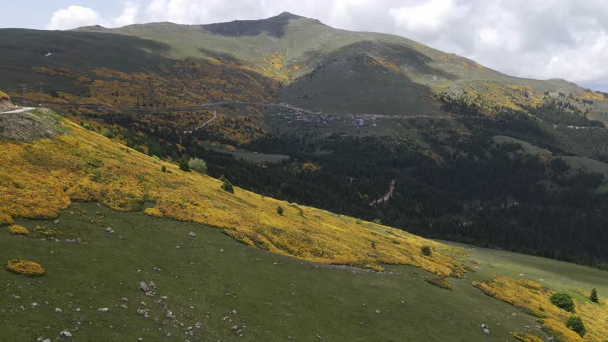 A scenic drone capture of highlands in northern Turkey, showcasing rolling green hills covered in yellow spring flowers. The landscape includes forested areas, a small mountain village in the distance
