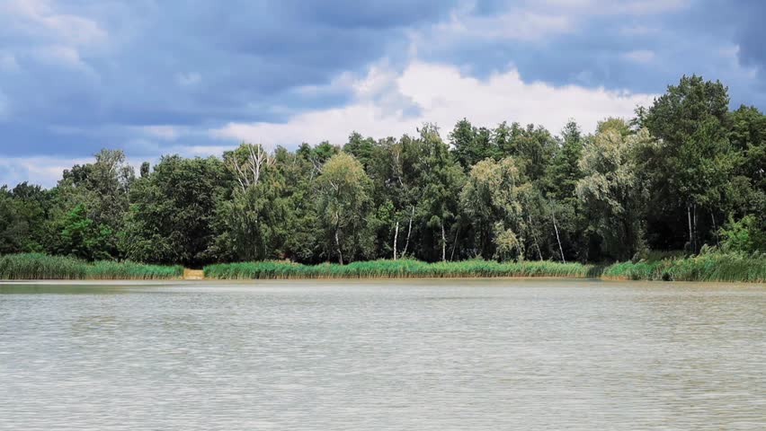 Lake and forest summer landscape