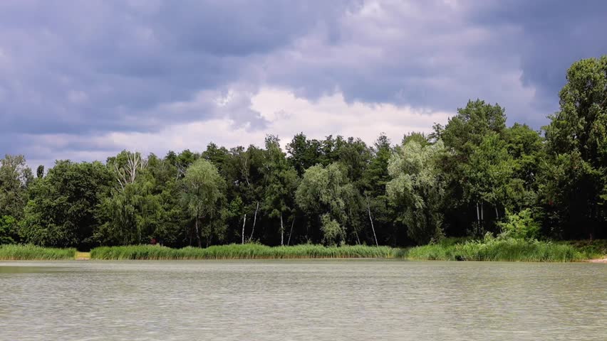 Lake and forest summer landscape