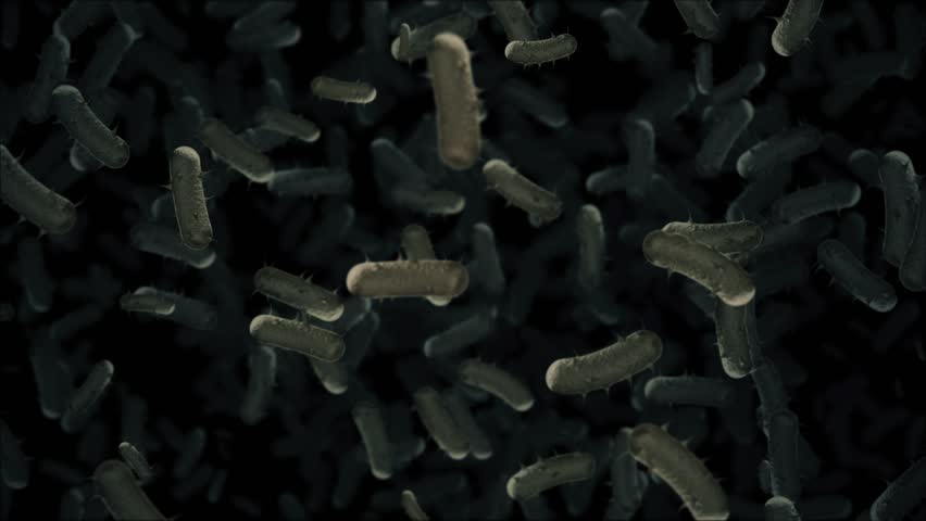 Close up, microscopic view of infectious bacteria cells flowing across the frame. Ideal for projects related to microbiology, healthcare and science. Full HD and looping medical background.