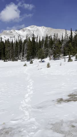 Sandbeach Lake, Colorado, Rocky Mountains, alpine, lake, mountains, forest, trail, hiking, nature, wilderness, national park, snow, winter, scenery, landscape, vertical, 4K, HDR, cinematic, clear, sky