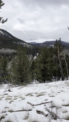 Buffalo Peaks, wilderness, Colorado, winter, snow, mountains, alpine, forest, nature, landscape, scenic, hiking, outdoors, remote, cold, trail, frozen, frost, pine, trees, snowfall, ice, elevation, 