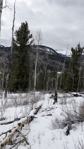 Buffalo Peaks, wilderness, Colorado, winter, snow, mountains, alpine, forest, nature, landscape, scenic, hiking, outdoors, remote, cold, trail, frozen, frost, pine, trees, snowfall, ice, elevation, 