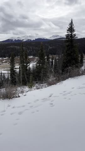 Buffalo Peaks, wilderness, Colorado, winter, snow, mountains, alpine, forest, nature, landscape, scenic, hiking, outdoors, remote, cold, trail, frozen, frost, pine, trees, snowfall, ice, elevation, 