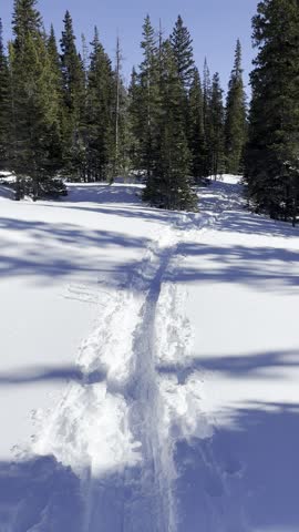 Forest Lakes Trail, James Peak, wilderness, Colorado, snowshoeing, winter, snow, trail, hiking, alpine, forest, pine, trees, mountains, frozen, adventure, backcountry, outdoors, landscape, nature