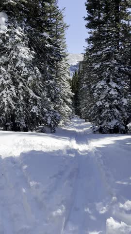 Forest Lakes Trail, James Peak, wilderness, Colorado, snowshoeing, winter, snow, trail, hiking, alpine, forest, pine, trees, mountains, frozen, adventure, backcountry, outdoors, landscape, nature