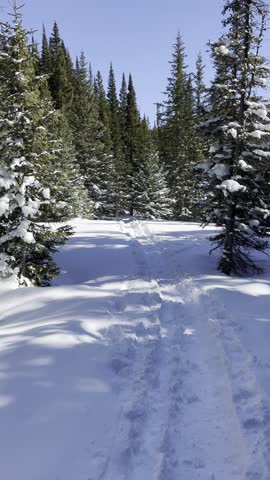 Forest Lakes Trail, James Peak, wilderness, Colorado, snowshoeing, winter, snow, trail, hiking, alpine, forest, pine, trees, mountains, frozen, adventure, backcountry, outdoors, landscape, nature