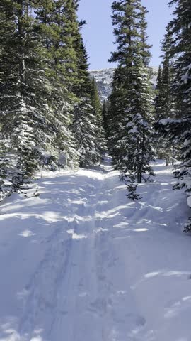 Forest Lakes Trail, James Peak, wilderness, Colorado, snowshoeing, winter, snow, trail, hiking, alpine, forest, pine, trees, mountains, frozen, adventure, backcountry, outdoors, landscape, nature