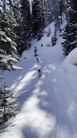 Forest Lakes Trail, James Peak, wilderness, Colorado, snowshoeing, winter, snow, trail, hiking, alpine, forest, pine, trees, mountains, frozen, adventure, backcountry, outdoors, landscape, nature