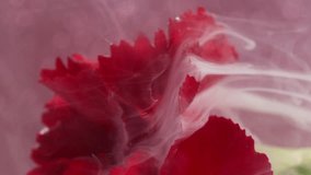 Vertical video. Mix smoke. Watercolor ink. Yellow relief blur smog swirling in red carnation flower petal. Decorative nature abstract water background . - Powered by Shutterstock - Get 15% off with code: PIKWIZARD15