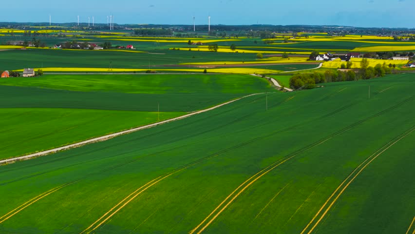Large agricultural field rolling over green hills with village buildings standing in distance. Expansive farmland curving with rapeseed fields glowing and rural houses appearing far away. Vast