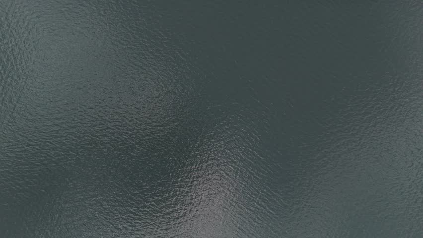 Shutterstock Video