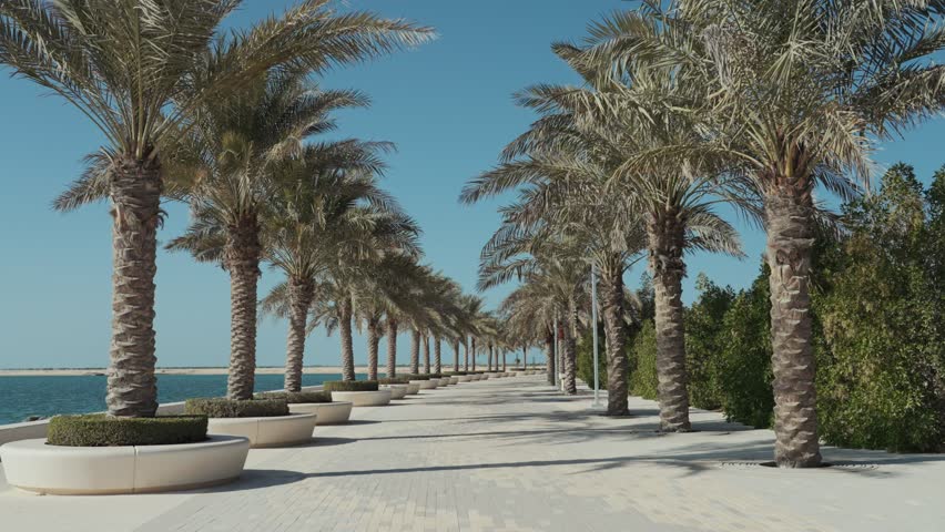 walking in the middle of palm trees on the Sea shore of Yas island Abu Dhabi United Arab Emirates