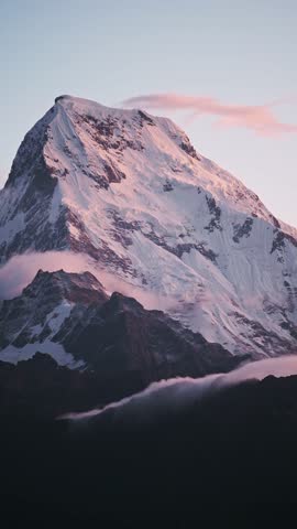 Shutterstock Video