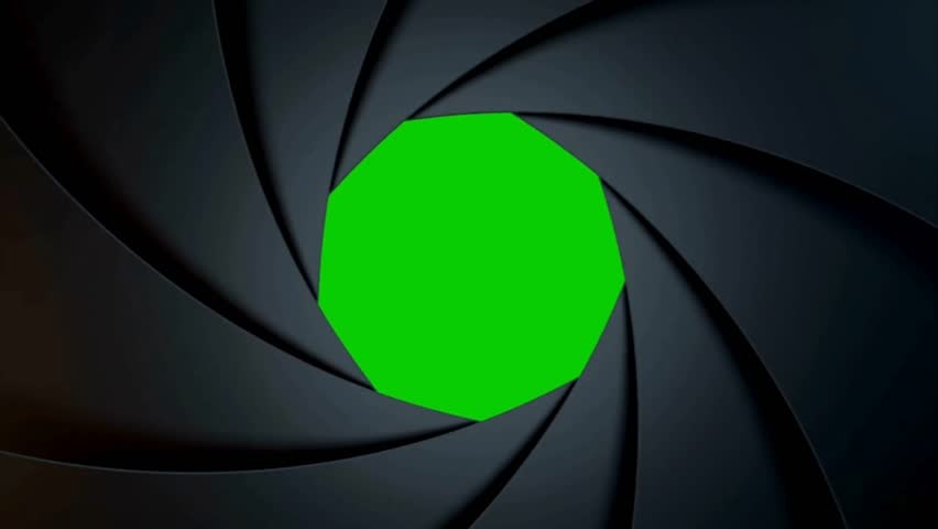 Shutterstock Video
