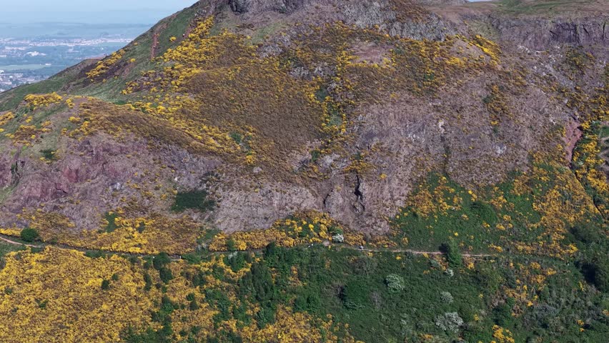 Drone view of Arthur