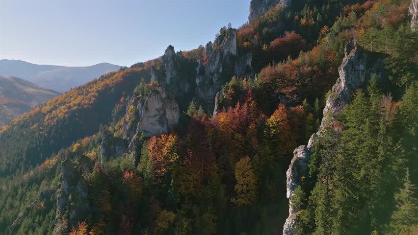 Aerial view of Colorful Trees in Autumn Mountain Forest, Sunny Nature Landscape