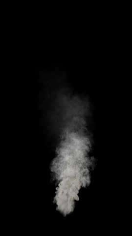 Smoke vapor, steam explosion, puff animation. Loop. Embedded alpha channel