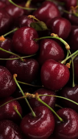 Red cherries with water drops, rotation. Ripe dark red cherries fruit