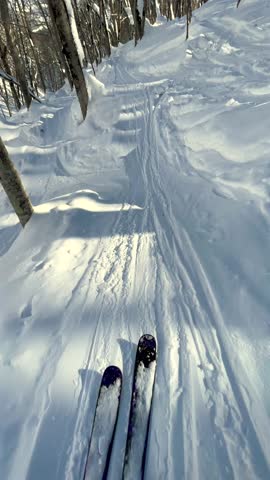 Rusutsu, Japan, 17th February 2025- POV Personal perspective skiing through the powder snow