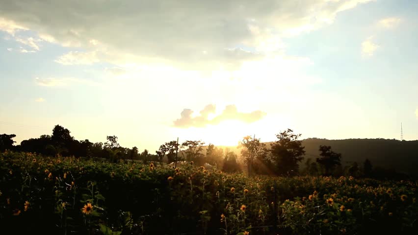 Serene Sunset Over Grassland and Distant Hills