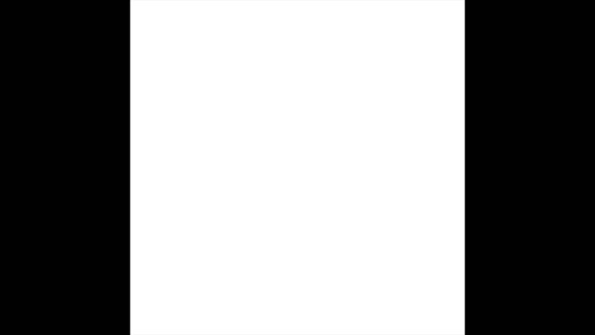 Shutterstock Video