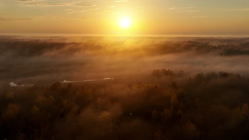 Beautiful dawn aerial shot of sunlight shining thought the trees and low fog in Minnesota in the autumn. Trees are turning their fall colors