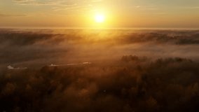 Beautiful dawn aerial shot of sunlight shining thought the trees and low fog in Minnesota in the autumn. Trees are turning their fall colors - Powered by Shutterstock - Get 15% off with code: PIKWIZARD15