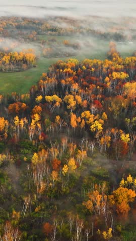 Beautiful dawn aerial shot of sunlight shining thought the trees and low fog in Minnesota in the autumn. Trees are turning their fall colors. Vertical video.