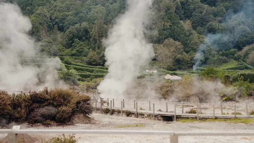 Scenic view of steaming hot springs with wooden walkway surrounded by lush green forest. Hot Springs and Steamy Landscape in Lush Green Forested Area. Steaming Fumarole in a Volcanic Landscape